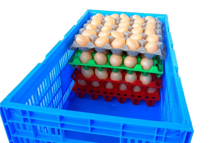 Stackable Plastic Chicken Egg Transport Crates best